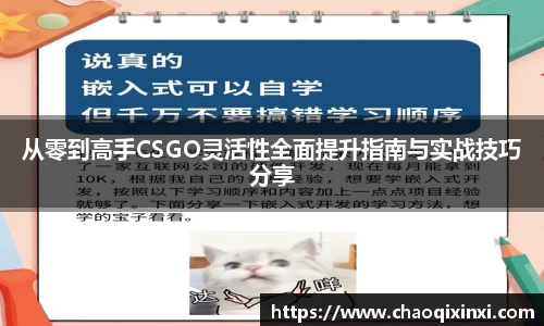 kk体育官网